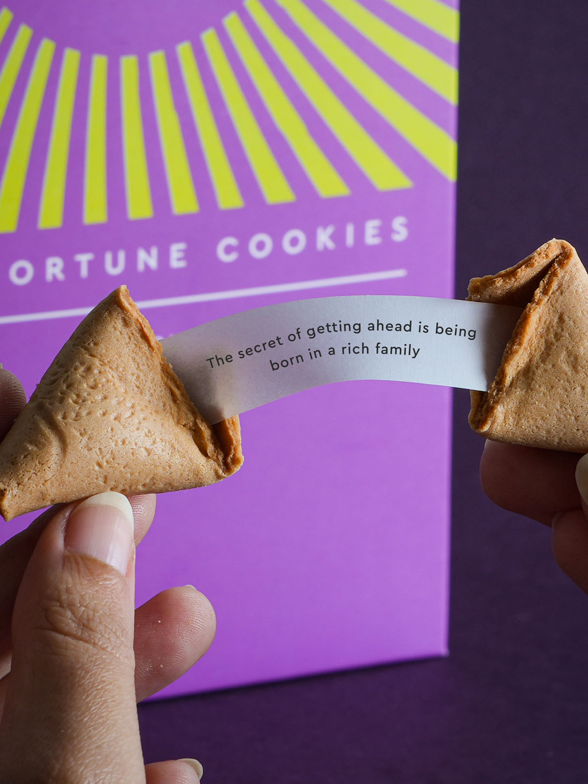 Friday Demotivations Fortune Cookies Box Of 12 Gleepops Fortune Cookies